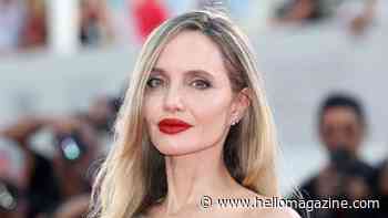 Angelina Jolie's privacy shattered in latest update