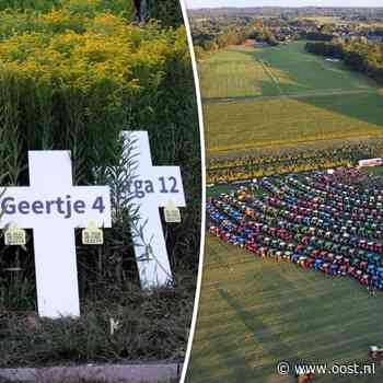 Boerenprotesten: zichtacties, 'koeienbegraafplaats' en brandjes langs wegen