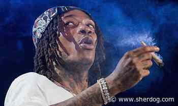 Merab Dvalishvili’s coach believes Wiz Khalifa could have success in combat sports
