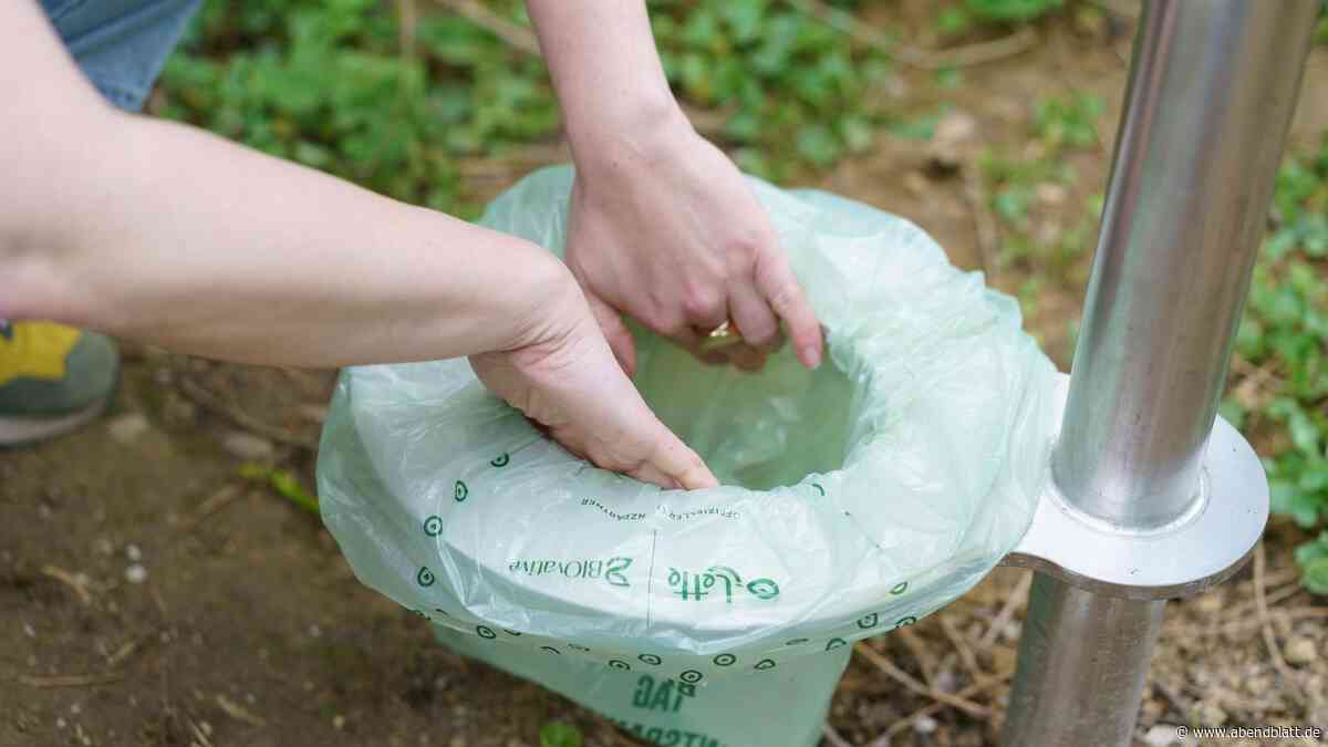 Kinder-Klo für Spielplätze: FDP schlägt ungewöhnliches Pilotprojekt vor