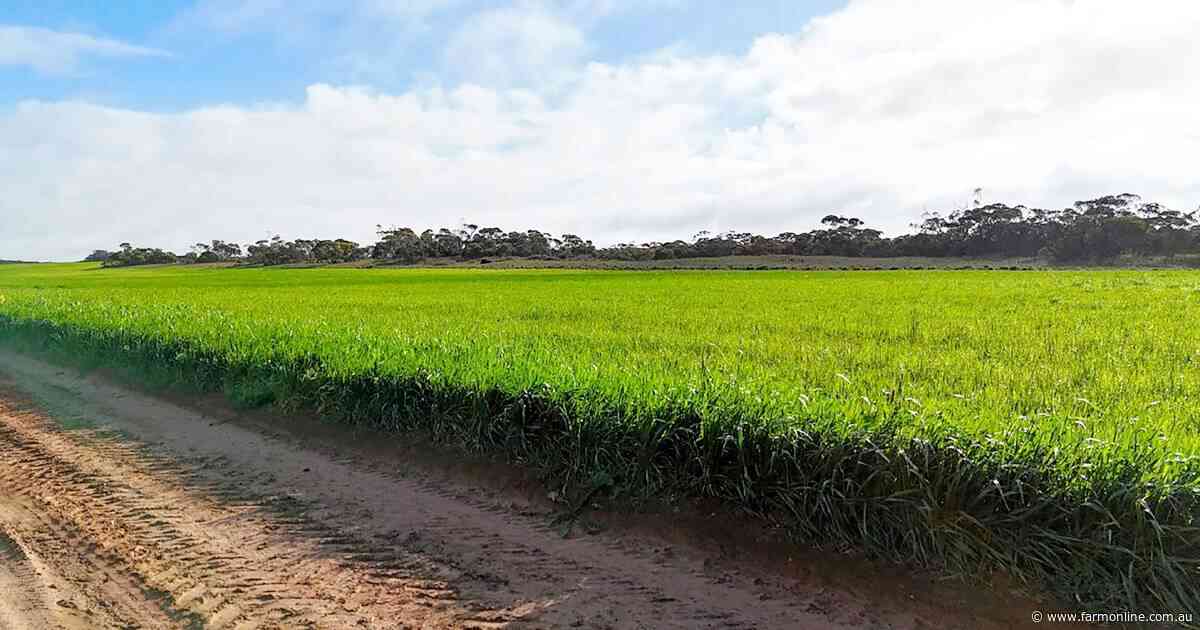 EP cropping block and Mid North mixed farm hit SA spring sales market