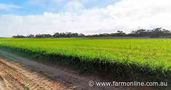EP cropping block and Mid North mixed farm hit SA spring sales market