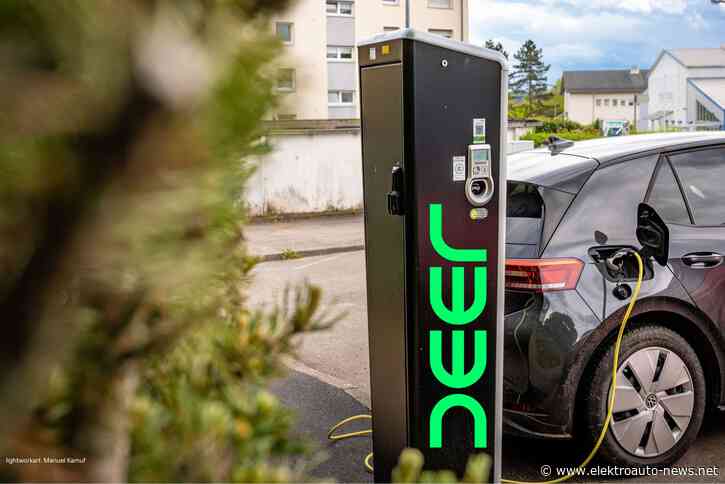 Sommeraktion: deer senkt Ladepreis auf 29 Cent je kWh
