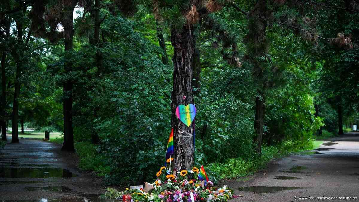 Beobachtet, verurteilt, entlassen: Warum Abdul Ballout frei war