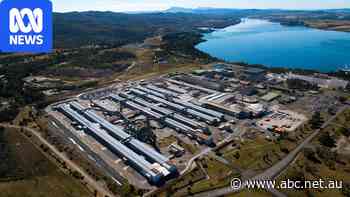 Renewable-powered aluminium smelter snubbed for green energy funding