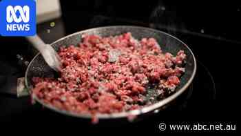 Australians may have unknowingly eaten horse meat, secret documents show