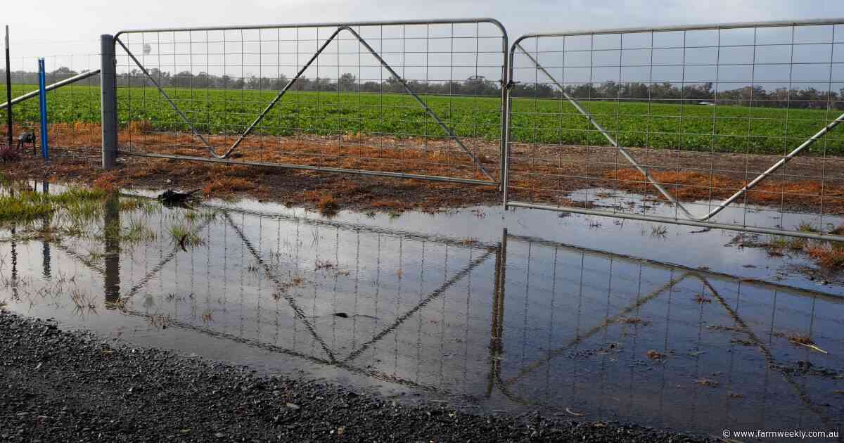 Two regions experiencing decile one rainfall for the growing season