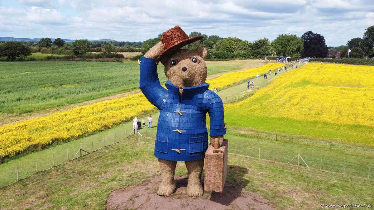 Willow trail with famous faces and ice cream farm that's perfect for a summer day out