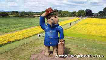 Willow trail with famous faces and ice cream farm that's perfect for a summer day out