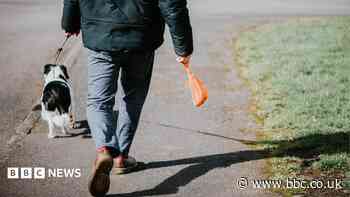 Pet owners could face £100 fines for dog fouling