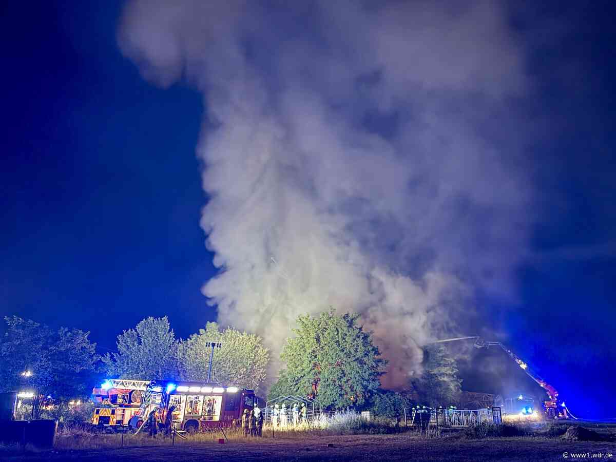 Feuer in Bornheim: Gewerbehalle brennt