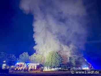 Feuer in Bornheim: Gewerbehalle brennt