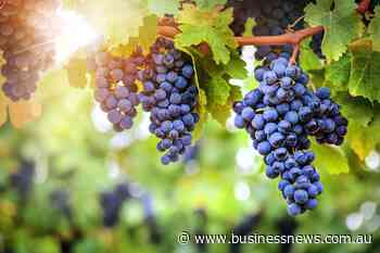 Opinion: Fresh challenge for wine sector