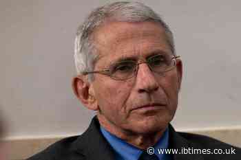 Fauci Private Diaries Exposed: 1,100-Page Leak Reveals Early Lab-Leak Doubts Ahead of Senate Grilling