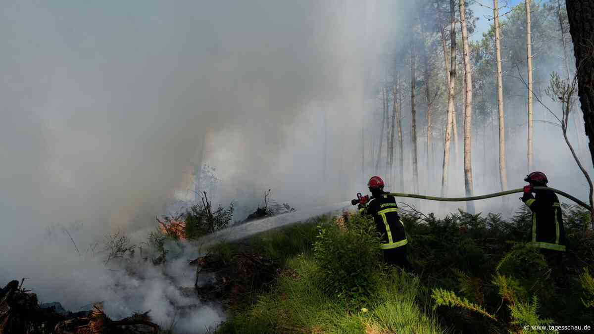 Hitzewelle schürt Sorge vor Ausbreitung von Waldbränden in Europa