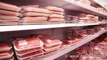 Storm erupts over 'eating horse meat' claims: ABC is slammed for airing 'false' allegations about Aussie beef and lamb mince - as investigation finds 'mouse fur and metal shavings' in our food