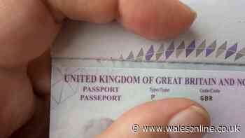 Seven-step passport check everyone needs to carry out before a holiday