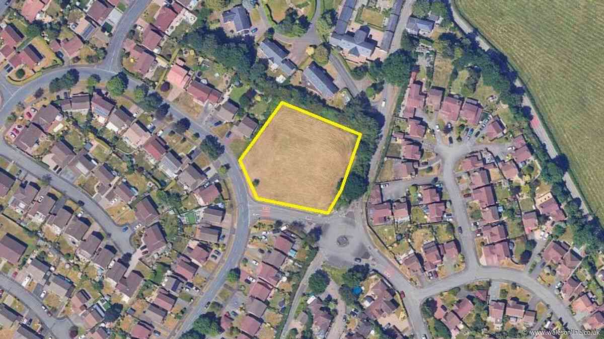 Community fears Newport green space will be gone for good if allotment plans go ahead