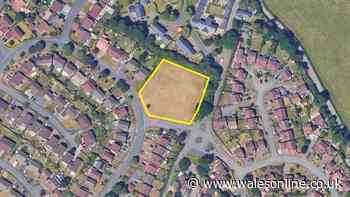 Community fears Newport green space will be gone for good if allotment plans go ahead