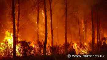 France wildfires live: Race to tackle flames near Bordeaux before 41C heatwave