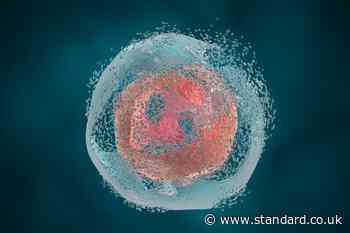 Meet your body’s internal maintenance guy: apoptosis — a hero of healthy ageing