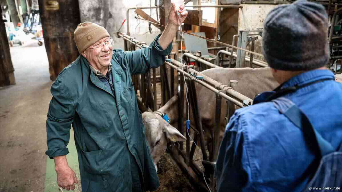 Alles für die Tiere: Murnauer Großtierarzt ist auch mit 81 Jahren immer für seine Patienten da