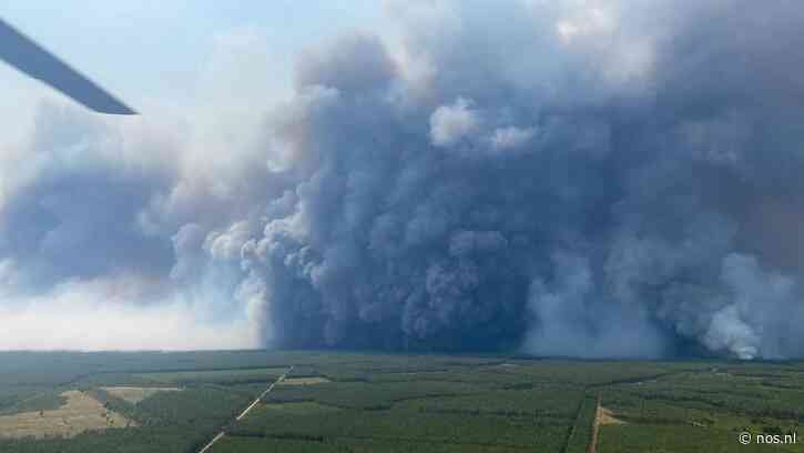 Enorme bosbranden Frankrijk leiden tot uniek fenomeen: een vuurwolk