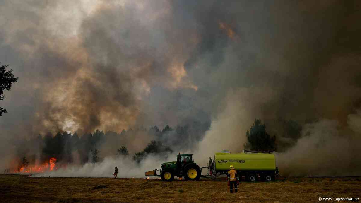 Waldbrände in Europa - Warum wüten die Feuer diesmal so heftig?