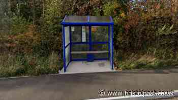 Man admits to using Filton bus stop as toilet for months