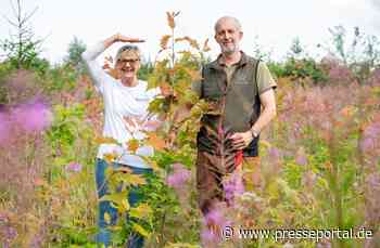 Naturoase mitten in Deutschland: Der lavera Wald der lavera Thomas Haase Stiftung wächst und gedeiht
