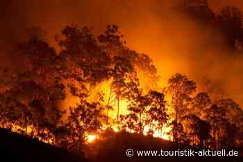 Waldbrände in Südeuropa: Auch Portugal kämpft gegen Feuer