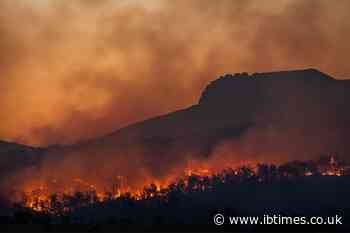 France Wildfire Crisis Deepens as 42,000 Hectares Burn Near Bordeaux and Two Firefighters Die