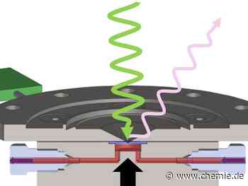 Neue Probenumgebung erlaubt Einblick in thermokatalytische Prozesse