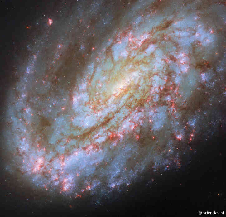Van stervorming tot ram pressure: het turbulente leven van NGC 4654 in beeld