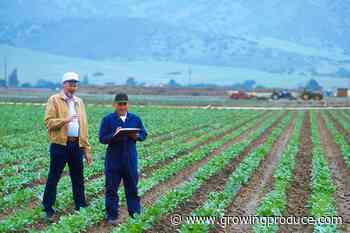 Vegetable Industry Allies Offer Advice for the Next 5 Years