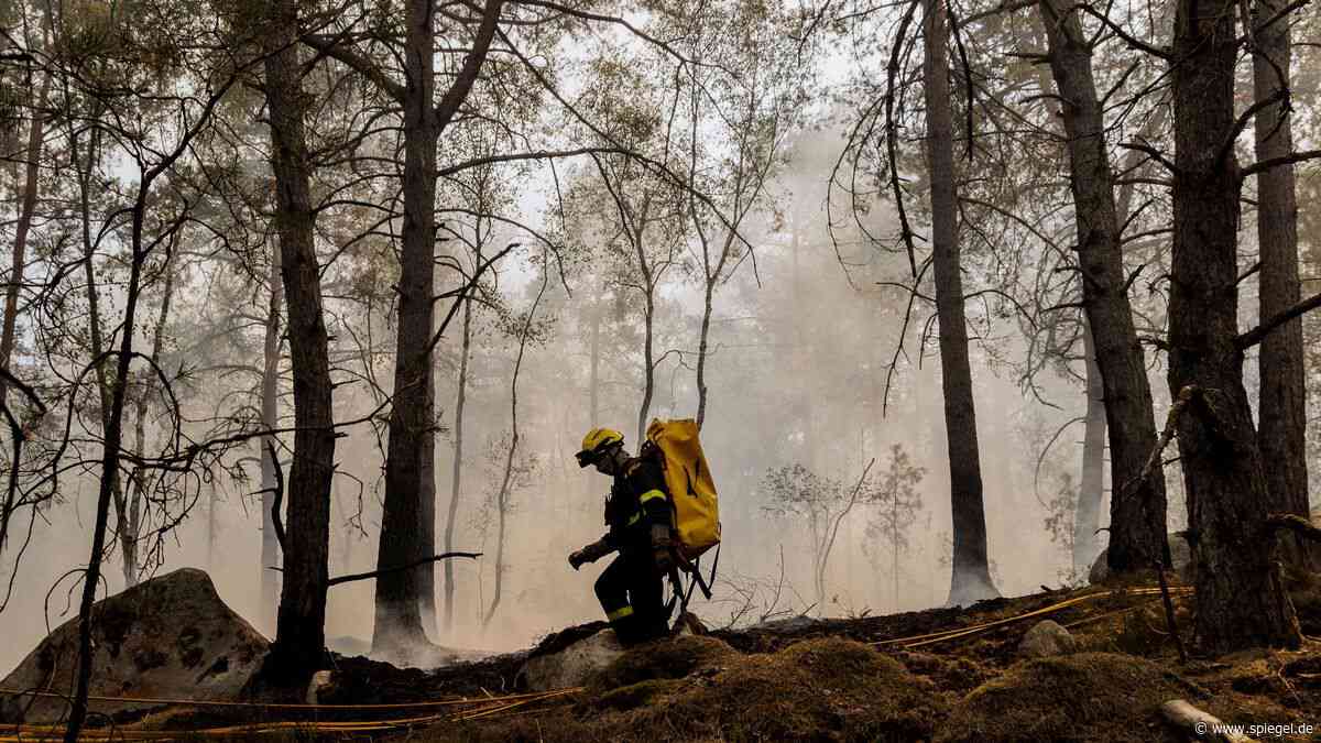 Waldbrände in Spanien, Frankreich, Deutschland: Diese Feuersaison ist noch lange nicht vorbei