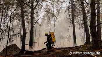 Waldbrände in Spanien, Frankreich, Deutschland: Diese Feuersaison ist noch lange nicht vorbei