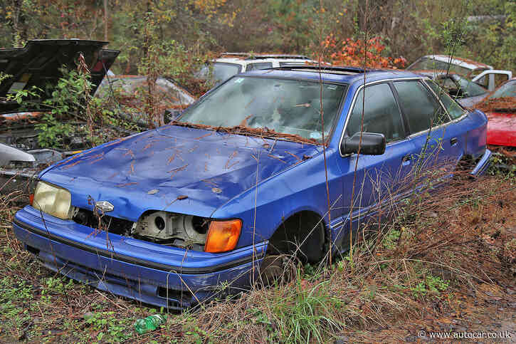 Some Interesting Junkyard Finds at Collins Auto Salvage in Auburn, Georgia