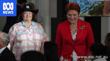 Hanson reveals who paid for Italy trip with Gina Rinehart
