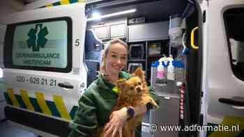 Woordvoerder Heleen Makkinga rijdt op de dierenambulance:  ‘De liefde voor dieren is overal hetzelfde’
