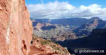 Non-Americans now paying more to visit U.S. national parks – will Canadians stay away?