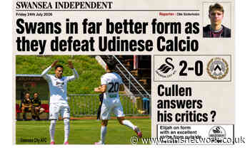 Swansea City : Swans display is a much needed boost for the fans !