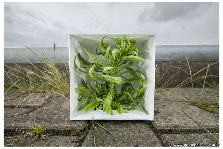 Green House als vaste locatie voor Kenniscentrum Nieuwe Natuur