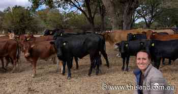Unlocking full potential: is your farm's old layout costing you more than you think?