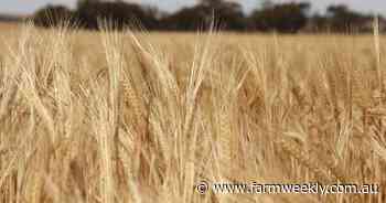 Growing Asian animal feed market presents opportunities for barley growers