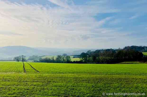 Farming for the Future: What SFI26 Means for England’s Farmers