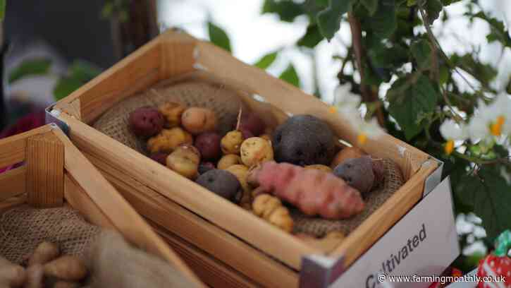 Scientists from The James Hutton Institute promoted innovation at British Potato 2025