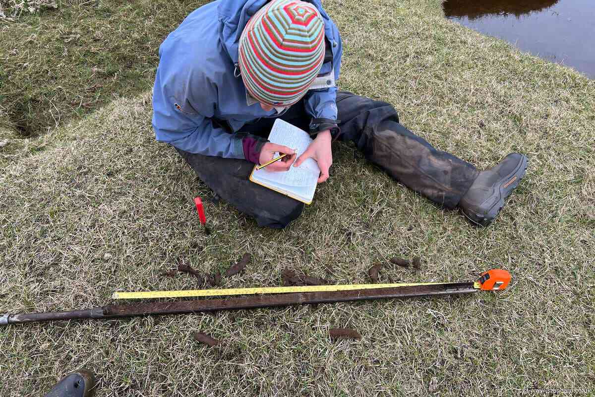 Hebridean salt marsh shows sea level changes over last 2,500 years