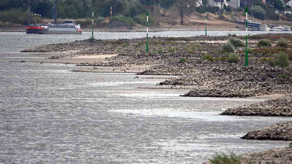 Rhein-Niedrigwasser: Trockenheit kann deutsche Wirtschaftsleistung dämpfen