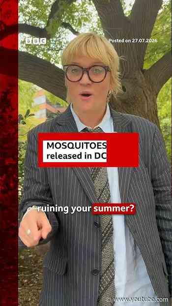 600,000 mosquitoes released across Washington DC area. #BBCNews